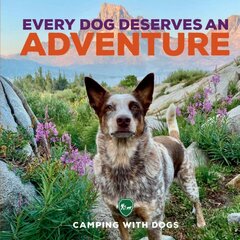 Every Dog Deserves an Adventure kaina ir informacija | Knygos apie sveiką gyvenseną ir mitybą | pigu.lt