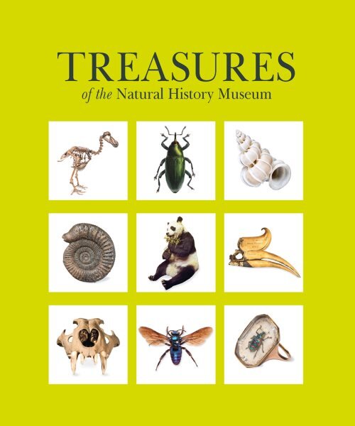 Treasures of the Natural History Museum: (Pocket edition) kaina ir informacija | Kelionių vadovai, aprašymai | pigu.lt