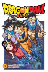 Dragon Ball Super, Vol. 19 цена и информация | Fantastinės, mistinės knygos | pigu.lt