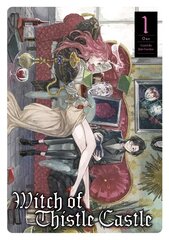Witch of Thistle Castle Vol.1 kaina ir informacija | Fantastinės, mistinės knygos | pigu.lt