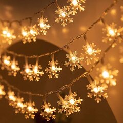 Рождественские гирлянды из снежинок, 10м, 100 светодиодов, LIVMAN TY-101 цена и информация | Гирлянды | pigu.lt