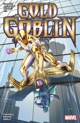 Gold Goblin цена и информация | Fantastinės, mistinės knygos | pigu.lt