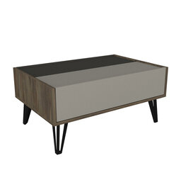 Кофейный столик Asir, 90x41,8x60см, серый/коричневый цена и информация | Журнальные столы | pigu.lt