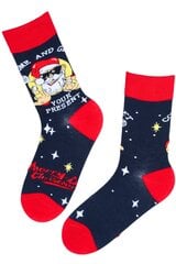 Kalėdinės kojinės vyrams Niklas, mėlynos kaina ir informacija | Vyriškos kojinės | pigu.lt