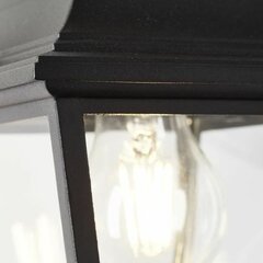 Настенный светильник Brilliant Nissie Внешний E27 60 W Чёрный цена и информация | Уличные светильники | pigu.lt