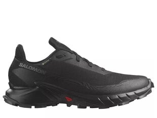 Alphacross 5 gtx salomon vīriešiem black l47307500 L47307500 kaina ir informacija | Vyriškos šlepetės, basutės | pigu.lt