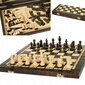 Šachmatų, šaškių ir nardų rinkinys Sunrise Chess & Games 3 in 1, 40 x 40 cm цена и информация | Stalo žaidimai, galvosūkiai | pigu.lt