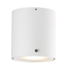 Nordlux потолочный светильник IP 6W, 78511001 цена и информация | Потолочные светильники | pigu.lt