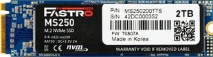 Megafastro MS250 (MS250200TTS) цена и информация | Внутренние жёсткие диски (HDD, SSD, Hybrid) | pigu.lt