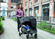 Dvinukų vežimėlis Baby Jogger City Mini GT 2, jet kaina ir informacija | Vežimėliai | pigu.lt