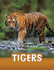 Tigers цена и информация | Книги для подростков  | pigu.lt