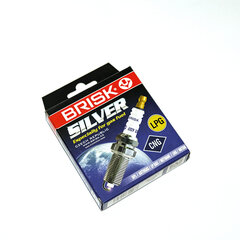 Свеча зажигания Brisk Silver, LR15YS LPG CNG, 1 шт. цена и информация | Автопринадлежности | pigu.lt