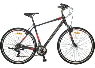 Городской велосипед Polar Helix 20 XL, 28", красный/черный цена и информация | Велосипеды | pigu.lt