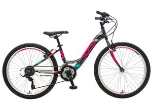 Подростковый велосипед Polar Modesty, 24", серый цена и информация | Велосипеды | pigu.lt