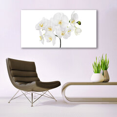 Reprodukcija Orchidėja kaina ir informacija | Reprodukcijos, paveikslai | pigu.lt