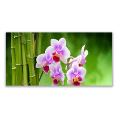 Reprodukcija Augalų bambuko vamzdžių gėlės kaina ir informacija | Reprodukcijos, paveikslai | pigu.lt