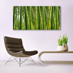 Reprodukcija Augalų bambuko vamzdžiai kaina ir informacija | Reprodukcijos, paveikslai | pigu.lt