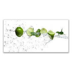 Reprodukcija Lime цена и информация | Репродукции, картины | pigu.lt