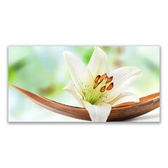 Reprodukcija Augalų gėlė kaina ir informacija | Reprodukcijos, paveikslai | pigu.lt