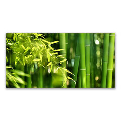 Reprodukcija Augalų bambuko vamzdžių lapai kaina ir informacija | Reprodukcijos, paveikslai | pigu.lt