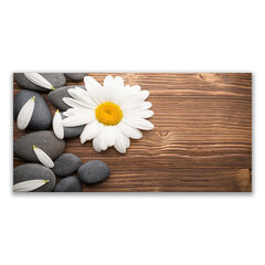 Reprodukcija Augalų Daisy akmenys kaina ir informacija | Reprodukcijos, paveikslai | pigu.lt