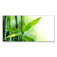 Reprodukcija Augalų bambuko vamzdžiai kaina ir informacija | Reprodukcijos, paveikslai | pigu.lt
