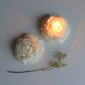 Žvakė Peony, 3 cm kaina ir informacija | Žvakės, Žvakidės | pigu.lt