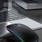 Belaidė RGB pelė, juoda цена и информация | Pelės | pigu.lt