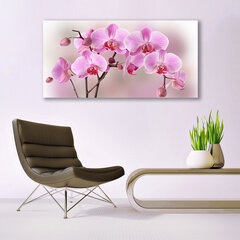 Reprodukcija Orchidėja kaina ir informacija | Reprodukcijos, paveikslai | pigu.lt