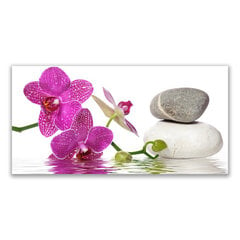 Reprodukcija Gėlių ir akmenų menas kaina ir informacija | Reprodukcijos, paveikslai | pigu.lt