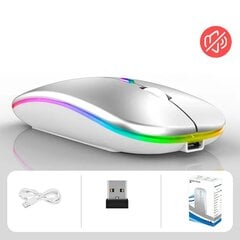 Belaidė RGB pelė, sidabrinė kaina ir informacija | Pelės | pigu.lt