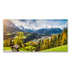 Reprodukcija Alpių kraštovaizdis kaina ir informacija | Reprodukcijos, paveikslai | pigu.lt
