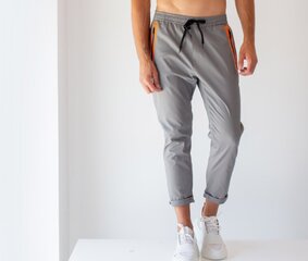 Kelnės vyrams Ice Play, pilkos цена и информация | Мужские брюки FINIS | pigu.lt