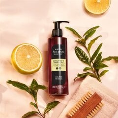 Жидкое мыло для рук Essence Bergamot & Green Tea, 250мл, Avon цена и информация | Мыло | pigu.lt