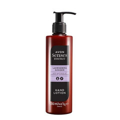 Rankų losjonas Avon Essence Lavender & Ginger, 250 ml kaina ir informacija | Kūno kremai, losjonai | pigu.lt