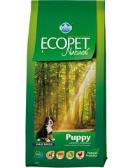 Farmina Ecopet Natural didelių veislių šunims su vištiena, 12 kg kaina ir informacija | Sausas maistas šunims | pigu.lt