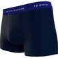 Trumpikės vyrams Tommy Hilfiger 83591, mėlynos, 5vnt. цена и информация | Trumpikės | pigu.lt