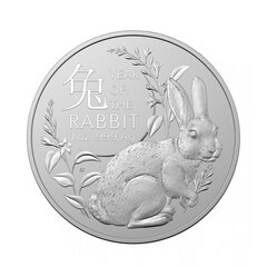 Sidabrinė moneta Triušio Metai, Australija, 2023 kaina ir informacija | Numizmatika | pigu.lt