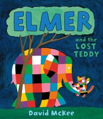 Elmer and the Lost Teddy: Board Book цена и информация | Книги для малышей | pigu.lt