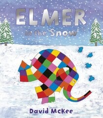 Elmer in the Snow цена и информация | Книги для самых маленьких | pigu.lt