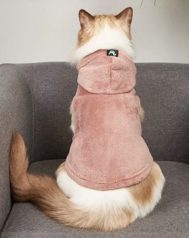 Augintinio džemperis su gobtuvu, 26x23x37 cm, Rudas kaina ir informacija | Drabužiai šunims | pigu.lt