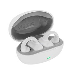 XO G19 Bluetooth TWS Hаушники цена и информация | Наушники с шумоподавлением Audiocore 74452 Bluetooth Call Center Google Siri Office Wireless | pigu.lt