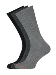 Calvin Klein kojinės vyrams 545660270, pilkos, 3 poros цена и информация | Мужские носки | pigu.lt