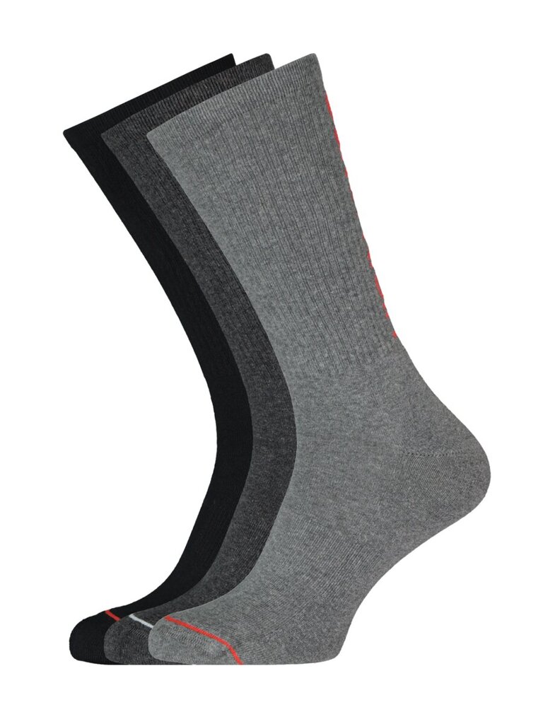 Calvin Klein kojinės vyrams 545660270, pilkos, 3 poros цена и информация | Vyriškos kojinės | pigu.lt
