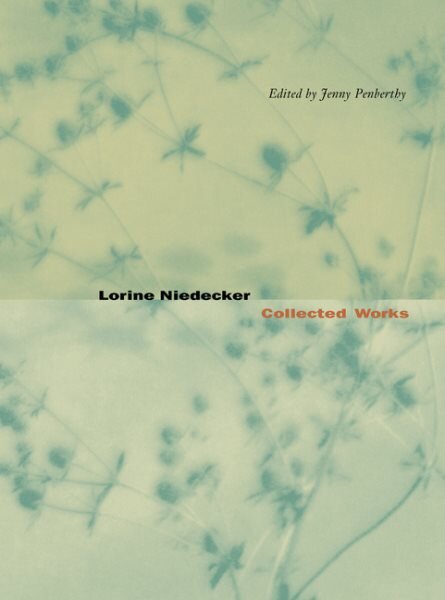 Lorine Niedecker: Collected Works Revised ed. kaina ir informacija | Poezija | pigu.lt