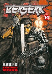 Berserk Volume 14 illustrated edition, v. 14 kaina ir informacija | Fantastinės, mistinės knygos | pigu.lt