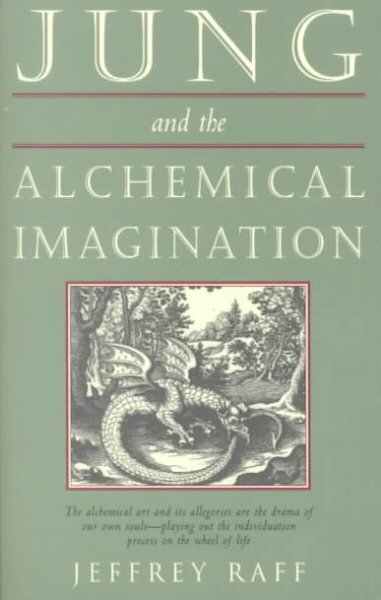 Jung and the Alchemical Imagination kaina ir informacija | Saviugdos knygos | pigu.lt