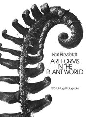 Art Forms in the Plant World цена и информация | Книги об искусстве | pigu.lt