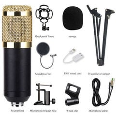 Профессиональный студийный микрофон цена и информация | Микрофоны | pigu.lt