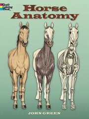 Horse Anatomy Coloring Book kaina ir informacija | Knygos mažiesiems | pigu.lt